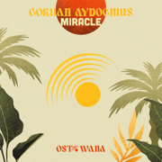 Miracle - Gokhan Aydogmus
