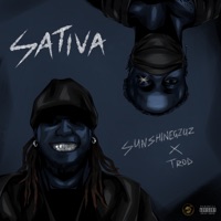 SATIVA (feat. TROD) - Single - SunshineGzuz