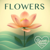 Flowers (Bossa Nova) - Bossa Nova Brain new Single