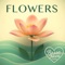 Flowers (Bossa Nova) artwork