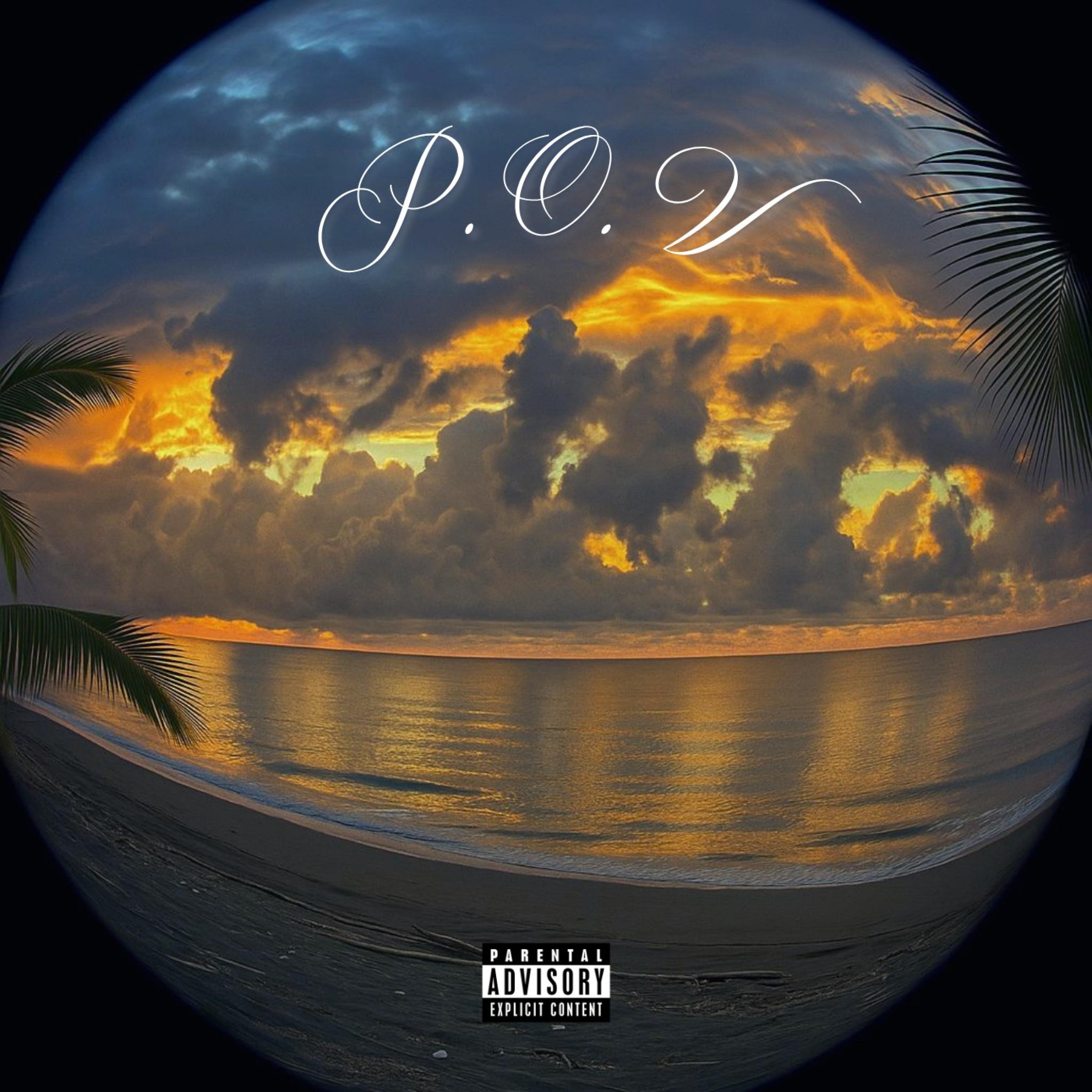 P.O.V - Single