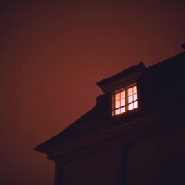 wallflower too unbothered.