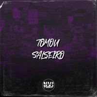 Tomou Salseiro (feat. MC DL) - Single - Zamp Mc, Mc Fabinho & WL DINIZZ