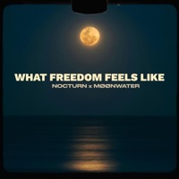 What Freedom Feels Like - Single - Moonwater & Nocturn