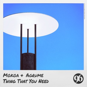Thing That You Need - Single