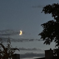 oneyearago - Single - Trace