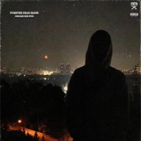 FOREVER DEAD MANE - Single - dreamcore.wxe