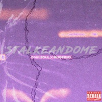 Stalkeandome (feat. Dani Soul) - Single - MUQERMX