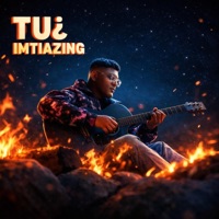 TU¿ - Single - Imtiazing