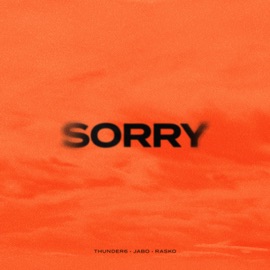 Sorry thunder6, JABO & Rasko