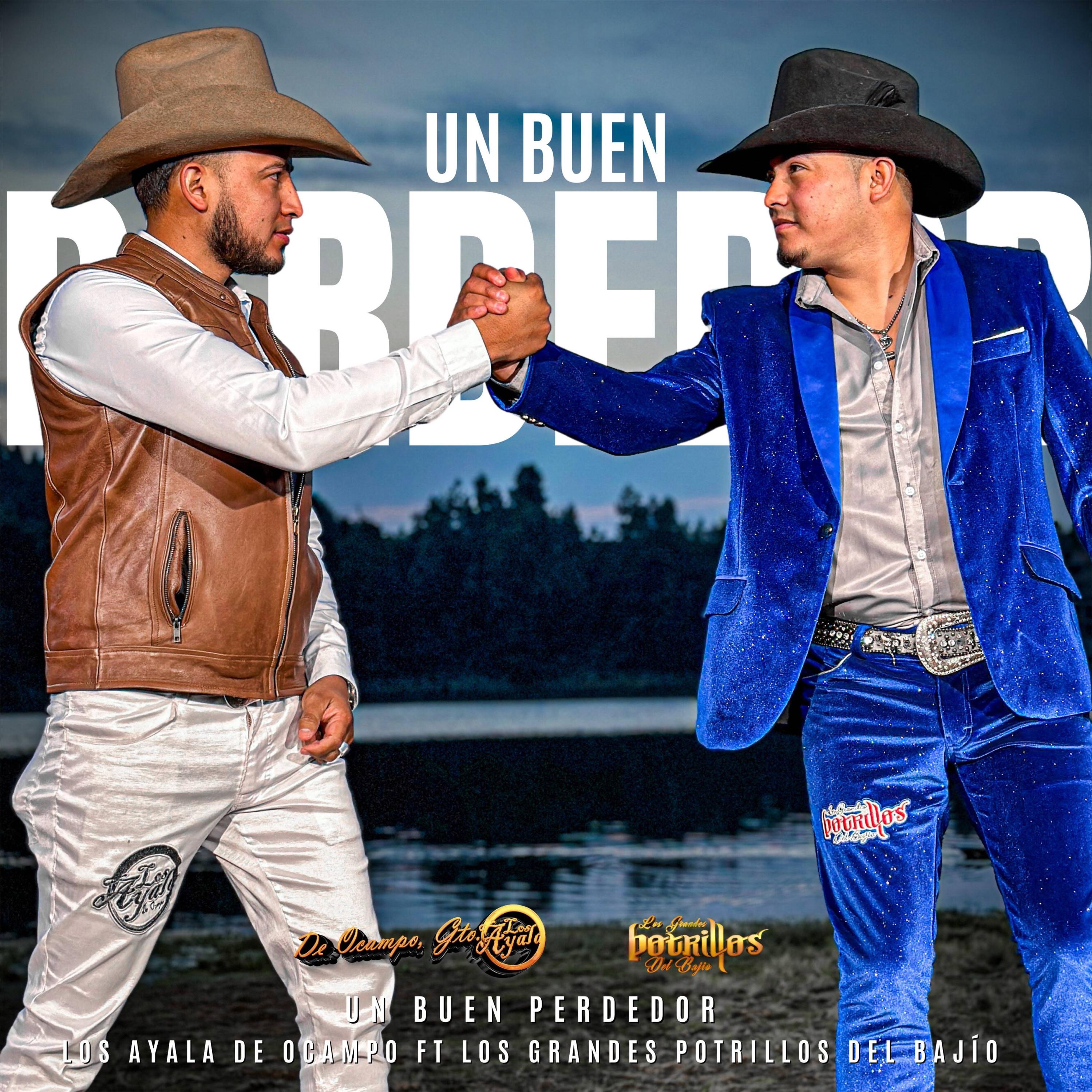 Buen Perdedor (Los Grandes Potrillos Del Bajio Remix) - Single