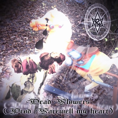 Dead Flowers - Single