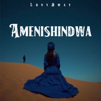 Lony Bway - Amenishindwa
