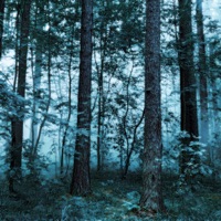 way back home - Single - Money Flip