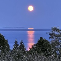 Summer - Single - Wyatt Parker