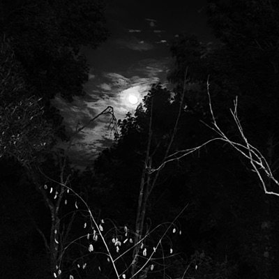 Land of tha Lost - Single