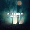 In the Night - Single