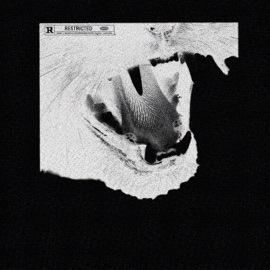 I'm Not The Problem boneyxo