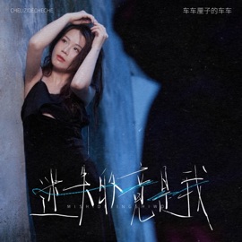 迷失的竟是我 (DJ九零版伴奏) Cherry Li