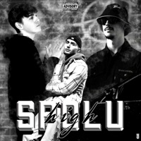Spolu High (feat. Dejv & Drewsession) - Single - Deetray
