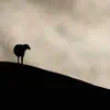 Den långa natten