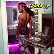 Shake it To DI MAX (Remix) - YoDJDixon & MOLIY