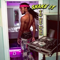 Shake it To DI MAX (Remix) - Single - YoDJDixon & MOLIY