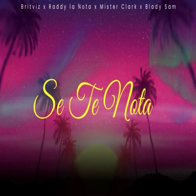 Se Te Nota - Single