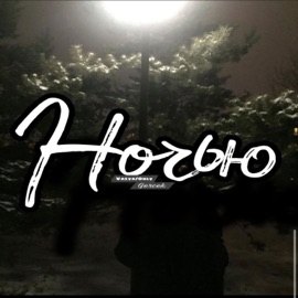 Ночью (feat. Gercek) Vasya/Only