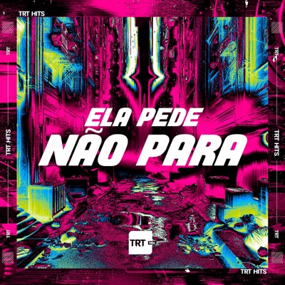 Ela Pede Não Para (feat. DJ BM PROD) - Single
