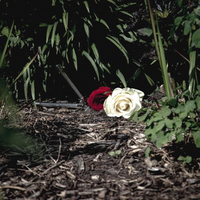 Le bien et le mal - Single