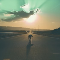 Gezegen gibi çevrende - Single - TNK