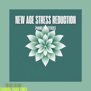 New Age Stress Reduction Piano Practices