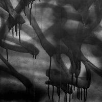 FWU (feat. zipbby!+* & MDMA) - Single - ImNotLuckii