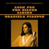 Look For The Silver Lining - Single - Grasiela Piasson & Guga Stroeter