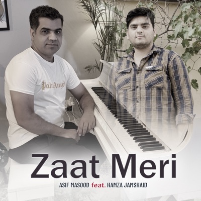 Zaat Meri (feat. Hamza Jamshaid) - Single