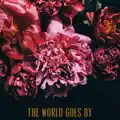 The World Goes By