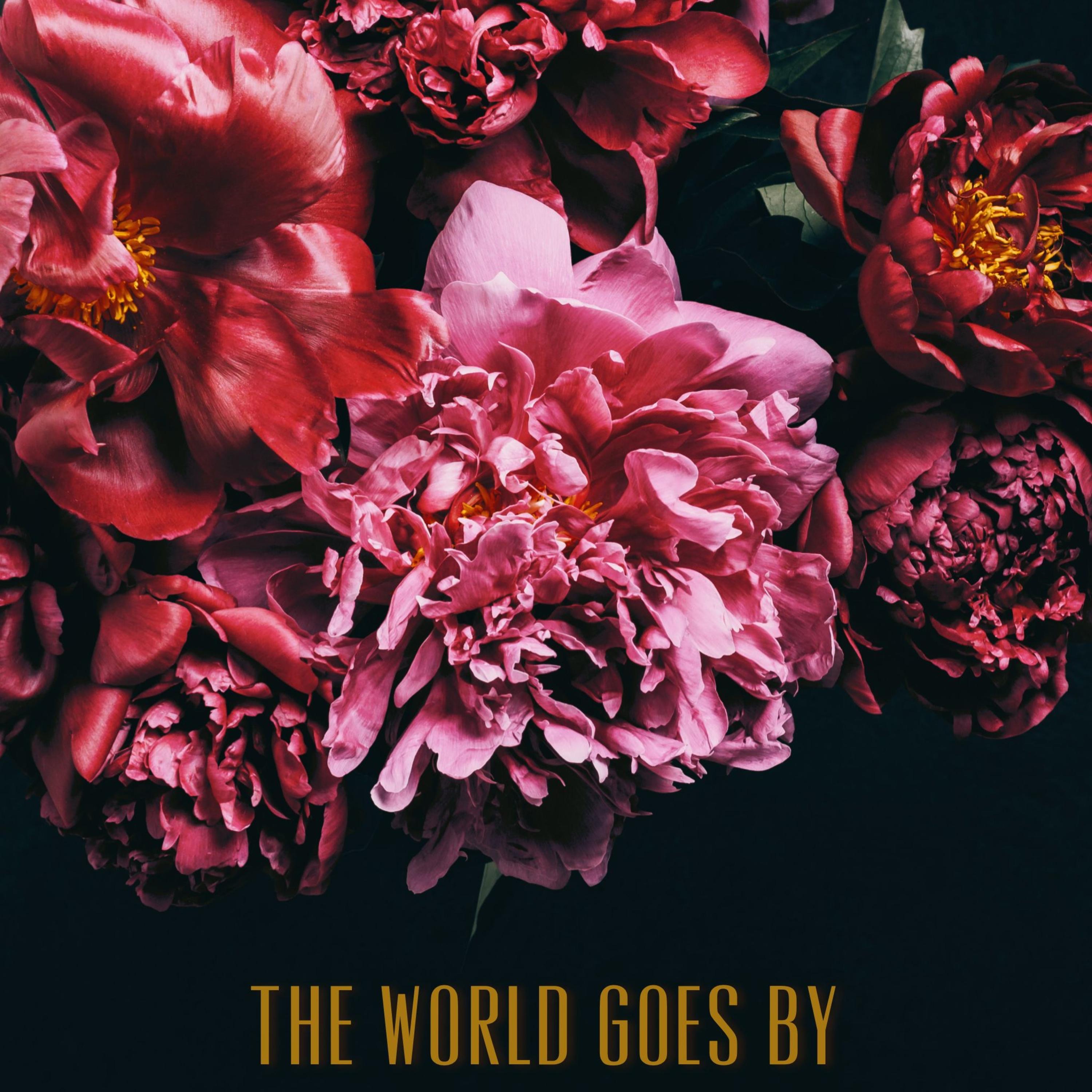 The World Goes By - Single