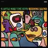 Reigning Sound - I Don't Need That Kind of Lovin'