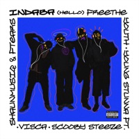HELLO (INDABA) [feat. Xduppy, ScoobySteeze, ShaunMusiQ & Ftears & Visca] - Single - FREE THE YOUTH & Young Stunna