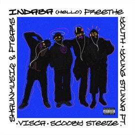 HELLO (INDABA) - Radio Edit [feat. ScoobySteeze, ShaunMusiQ & Ftears, Visca & Xduppy] FREE THE YOUTH & Young Stunna