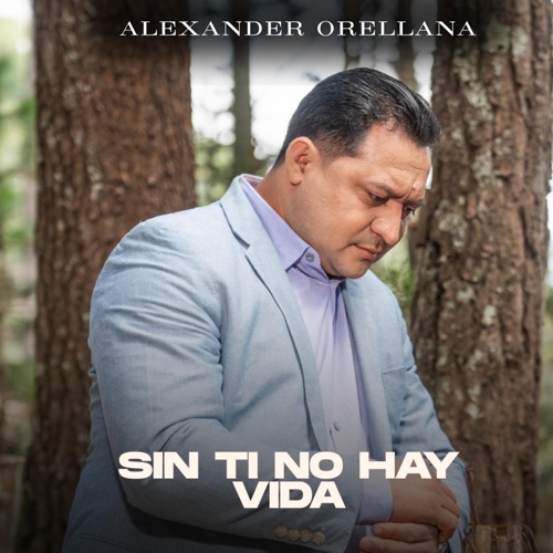 Sin Ti No Hay Vida - Single