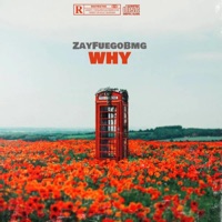 Why ? - Single - Zay Fuego