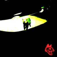 why would i tell you - Single - lunie