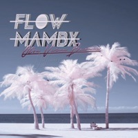FLOW MAMBX 'Otra Vaina Bacana' - Di Viancx