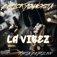 LA VIBEZ (feat. BRICK YOUNGSTA) - Single - MAKIN BEATZ 100
