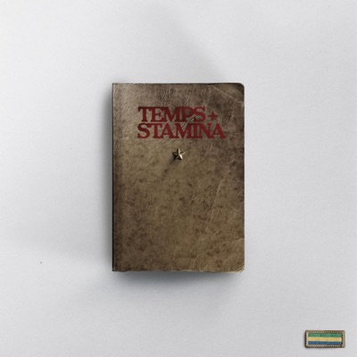 TEMPS & STAMINA - Single