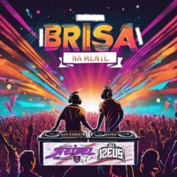 BRISA NA MENTE (feat. Dj Izeus) - Single - Dj Steidel 047