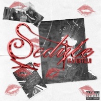 Seduce - Single - Akaportillo