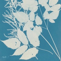 closer than ever - Single - Apollo J